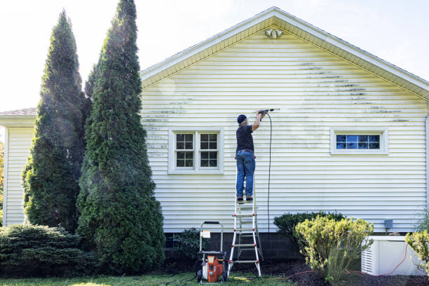 Reliable Chester, VA Pressure Washing Solutions